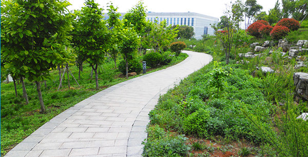 在工作中學(xué)習(xí)