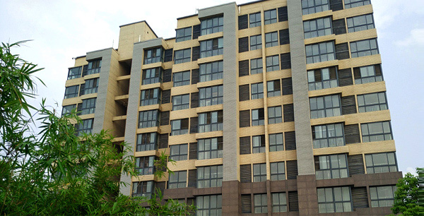 職業(yè)發(fā)展